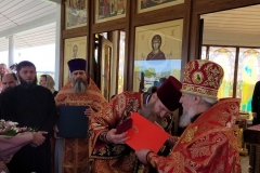 52877041767_00565fcf0a_b